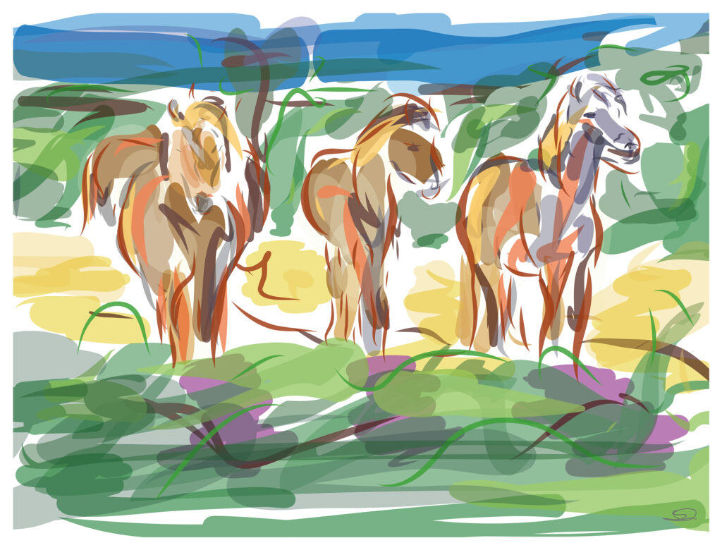 Islandske heste - kunsttryk 40 x 50 cm